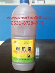 家禽液体益生素