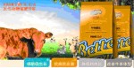 中国养猪催肥网牛羊催肥王饲料添加剂