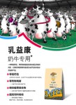 奶牛乳房炎怎么办?郑州拜特威的乳益康(奶牛专用)比较专业