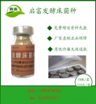 100平米养猪发酵床怎么制作