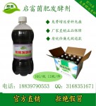 最赚钱的粪便处理方式先养蝇蛆后养蚯蚓