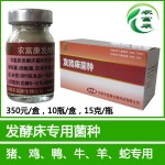 给牛做发酵床需要注意什么？
