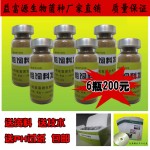 米酒糟怎么喂猪好发酵米酒喂猪方法有哪些