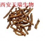 远志提取物 远志浸膏