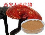 灵芝提取物