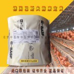 德国巴斯夫露康定黄 进口原包装 100%正品保证