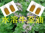 确保畜禽健康和食品安全的理想抗生素替代品-牛至油