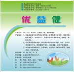 优益健  有效的预防机体软骨症、佝偻症、畸形的发生。