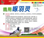 鸽用特效啄羽灵