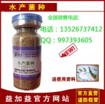 em菌种厂家直销,养泥鳅em菌种