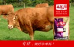 肉牛速肥预混料供应商