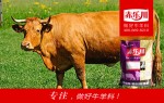 肉牛速肥预混料