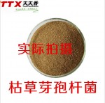 枯草芽孢杆菌 微生物饲料添加剂 水产畜禽专用