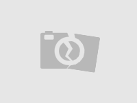 唾液酸（N-乙酰神经氨酸）