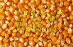 旺川求购：玉米、大豆、高粮、豆粕
