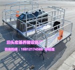 新型母猪产床厂家 养猪设备厂家猪用产仔栏低价出售
