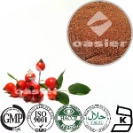 欧泽生物 刺玫果提取物 饲料添加剂