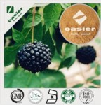 高端宠物饲料刺五加提取物