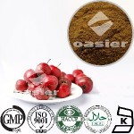 高端宠物饲料山楂提取物