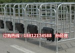 猪用限位栏生产销售 母猪定位栏一套多少钱 养猪设备生产批发