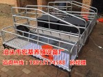 湖南养猪设备专业生产销售 双体猪产床一套的价格是多少  母猪产仔栏批发