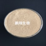 滨州鹏翔生物可代替豆粕的菌体蛋白营养性饲料添加剂
