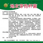 枯草芽孢杆菌连云港厂家直销供应现货，用于分解有机物、净化水质