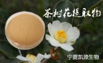 茶树花提取物  茶树花粉   1公斤起订