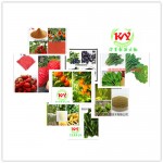 凯源生物 白芸豆提取物 菜豆素4% 天然植物提取 欢迎采购