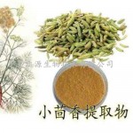 小茴香提取物  小茴香粉 10:1  速溶粉  1公斤起订