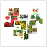  木薯提取物 生粉 木薯提取液 浸膏多种规格1公斤起订