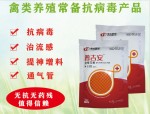 普吉安—抗病毒治流感通气管禽类养殖常备