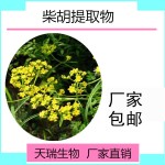 柴胡提取物10:1