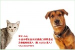 目前允许出口宠物食品到中国的国家及地区
