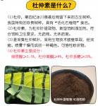 杜仲叶提取物绿原酸扶风工厂出货