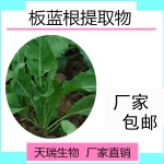 板蓝根提取物板蓝根浸膏粉现货