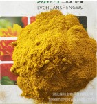 姜黄粉 提供多种蛋白质 微量元素