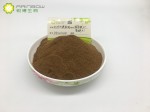 天然饲用植物原料- 西安锐博杜仲叶提取物，杜仲绿原酸介绍与功效应用