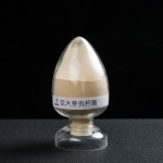 益昊生物 1000亿巨大芽孢杆菌 降磷固氮生物有机肥 厂家直销 量大优惠