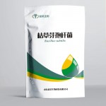 益昊生物 1000亿枯草芽孢杆菌 农用 促生长防重茬 厂家直销量大优惠