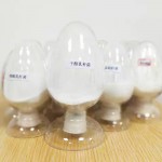 益昊生物 100亿干酪乳杆菌 畜禽养殖饲料添加剂 厂家直销量大优惠