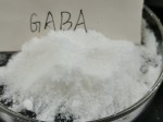 γ-氨基丁酸