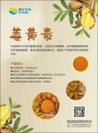 饲料级姜黄素