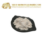 真菌淀粉酶9013-01-8