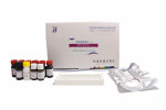 信腾生物  酶免试剂盒  黄曲霉毒素B1(AFB1）酶免检测试剂盒【18min标准型】