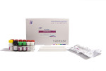 信腾生物 酶免试剂盒  呕吐毒素（DON）酶免检测试剂盒【18min标准型】