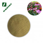 欧泽生物 饲料级 紫锥菊提取物 紫锥菊多酚4% 菊苣酸2%