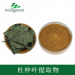 唯奥生物 杜仲叶提取物 绿原酸10% CAS:327-97-9 源头工厂