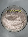 绿茶提取物EGCG98%