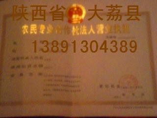 陕西红富士苹果葡萄核桃柿子冬枣农民专业合作社